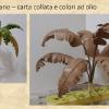  vegetazione varia 