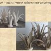  vegetazione varia 